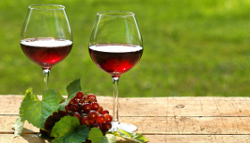 Vino rosso-uva-degustazione